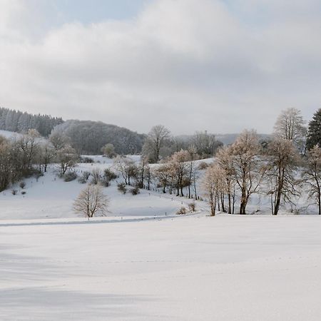 Jagdhaus In Der Rhoen In Voelliger Alleinlage Gersfeld Dış mekan fotoğraf