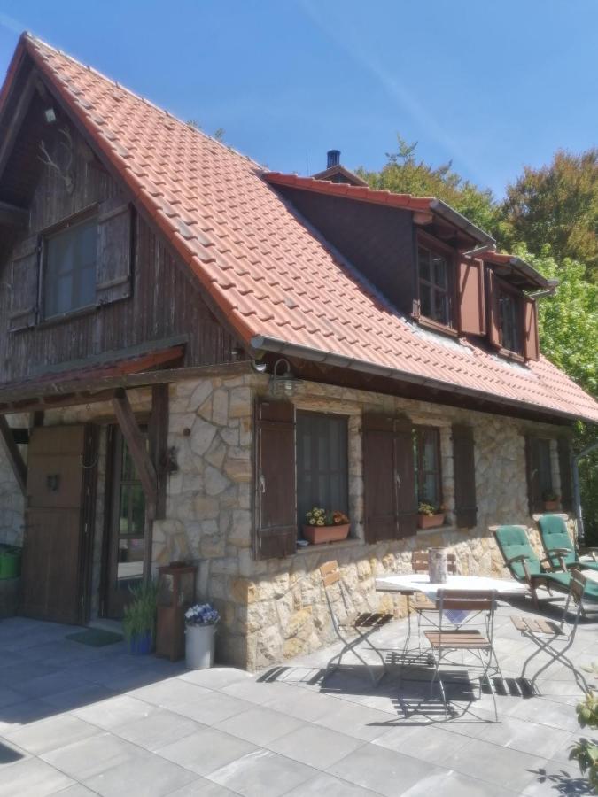 Jagdhaus In Der Rhoen In Voelliger Alleinlage Gersfeld Dış mekan fotoğraf
