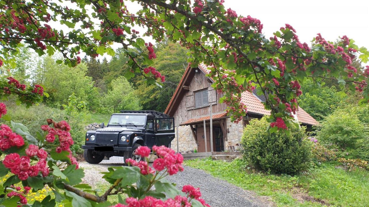 Jagdhaus In Der Rhoen In Voelliger Alleinlage Gersfeld Dış mekan fotoğraf