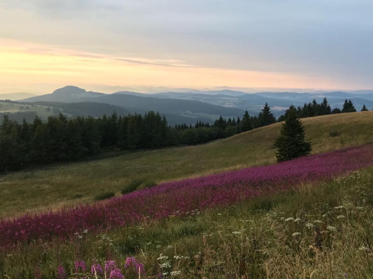Jagdhaus In Der Rhoen In Voelliger Alleinlage Gersfeld Dış mekan fotoğraf