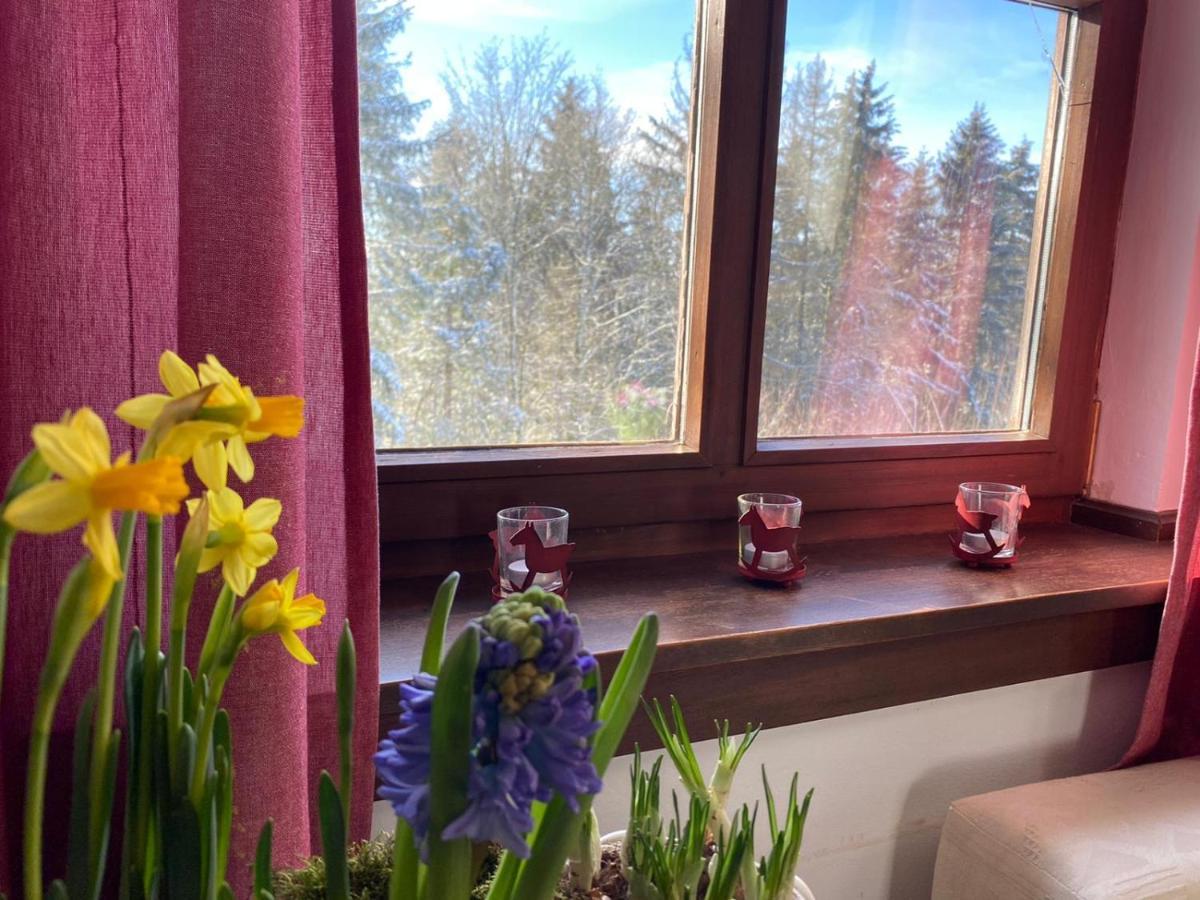 Jagdhaus In Der Rhoen In Voelliger Alleinlage Gersfeld Dış mekan fotoğraf